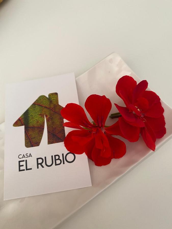 Casa El Rubio Villa San Vicente de la Sonsierra Kültér fotó